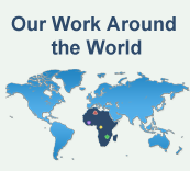 Nonkilling Global Political Science